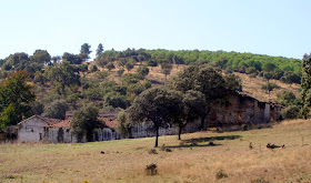 Huerta de los Leones
