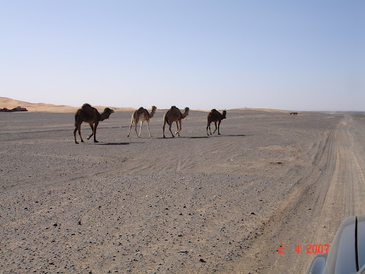 DSC02143.JPG