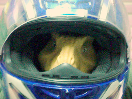 P3142011.JPG